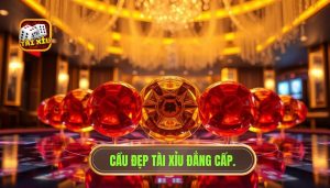 Bao nhiêu vốn là đủ để săn hũ: Phân tích chuyên sâu từ chuyên gia